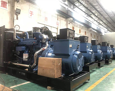 国内某养殖项目指定批量采用j9真人第一品牌500KW/400V陆用发电机